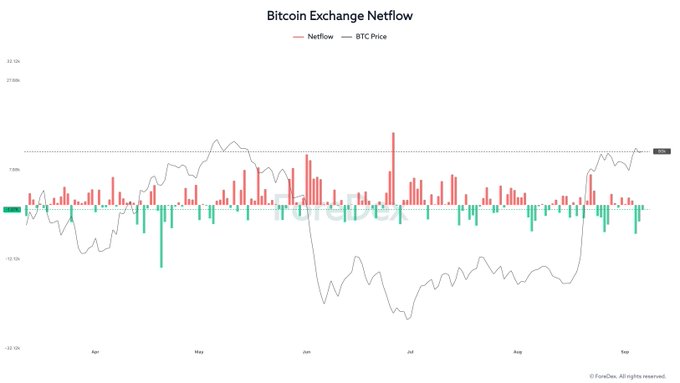 A financial chart titled 'Bitcoin Exchange Netflow' from Glassnode showing netflow bars (red and green) and BTC Price (gray line) from approximately April to November, with the recent BTC price around $60k.