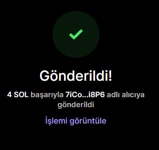 The image displays a dark-themed transaction confirmation screen with a green checkmark, reading "Gönderildil" (Turkish for "Sent!") and stating "4 SOL başarıyla 7iCo...i8P6 adlı alıcıya gönderildi" (4 SOL successfully sent to recipient 7iCo...i8P6), with an option to view the transaction. This serves as visual proof supporting the post's claim of sending $310 worth of SOL, intended to entice viewers to drop their own Solana wallets.