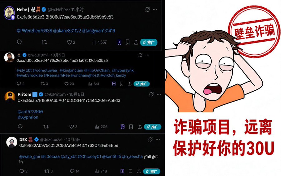 A screenshot of cryptocurrency-related social media posts (including tweets from Hebe, wale_gmi, Pritom, and DEX) next to a meme of Morty from Rick and Morty with Chinese text warning about scams and protecting your '30U' (30U).