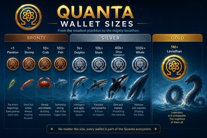 The image showcases a chart that categorizes Quanta Wallet sizes from Bronze through Gold, corresponding to different sea creatures, ranging from "Plankton" to "Leviathan." It suggests a gaming or achievement system within the Quanta ecosystem, with each size representing a level or status within the network. The accompanying text from Quanta's official account or community emphasizes inclusivity and growth within the network, promoting the idea that every holder has a place and role, no matter their size.