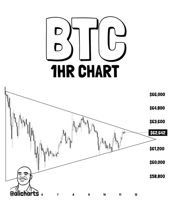 The image shows a triangle chart with Bitcoin's price range at different hours, starting from 0 through 24. The top left corner represents $0, while the bottom right shows $63,000. Inside this frame, there is a person's face drawn in black and white as part of an illustration above the chart, suggesting that someone might be tracking Bitcoin prices or making investment decisions based on the data presented.