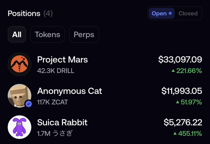 A cryptocurrency portfolio dashboard displays 'Positions (4)' with entries for 'Project Mars' ($33,097.09, ▲221.66%), 'Anonymous Cat' ($11,993.05, ▲51.97%), and 'Suica Rabbit' ($5,276.22, ▲455.11%), showing filter tabs for All, Tokens, and Perps.