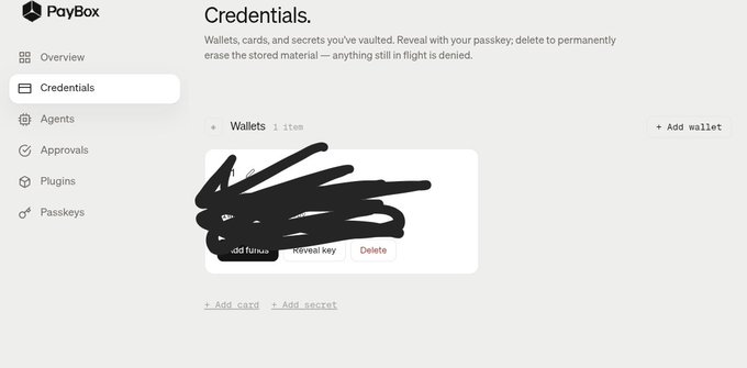 The image shows the PayBox "Credentials" page, displaying a single "Wallets" entry with a private key that has been scribbled out in black marker, alongside "Add fundus," "Reveal key," and "Delete" buttons. This visualizes the user's frustration mentioned in the tweet about spending 3 hours setting up a PayBox wallet only to find it lacks expected features like a reward button or X (Twitter) connect option, leaving them empty-handed despite their effort.