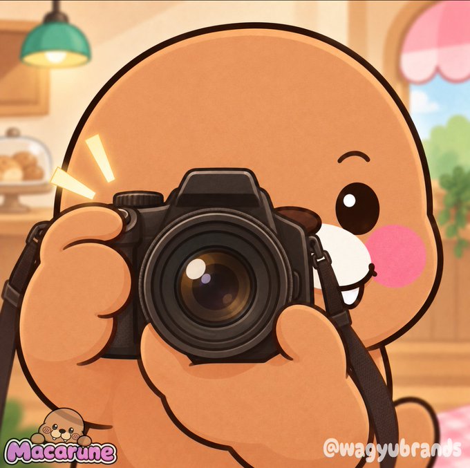 An illustration of a cute cartoon bear holding a black DSLR camera, branded with 'Macarune' and '@wagyubrands'.