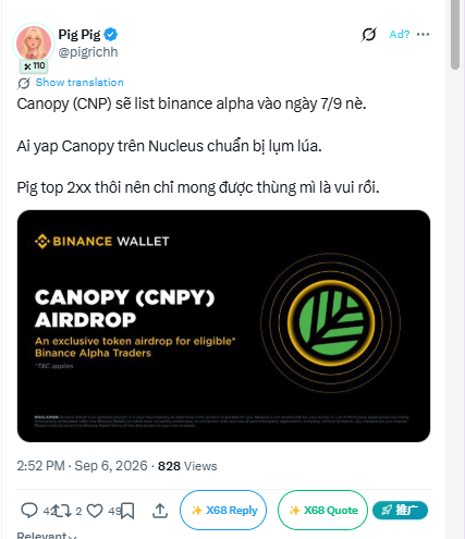 A social media post from user 'Pig 🐷' (@pigricch) discussing 'Canopy (CNP) sẽ list binance alpha vào ngày 7/9' with an attached Binance Wallet promotional graphic for a 'CANOPY (CNPY) AIRDROP'.