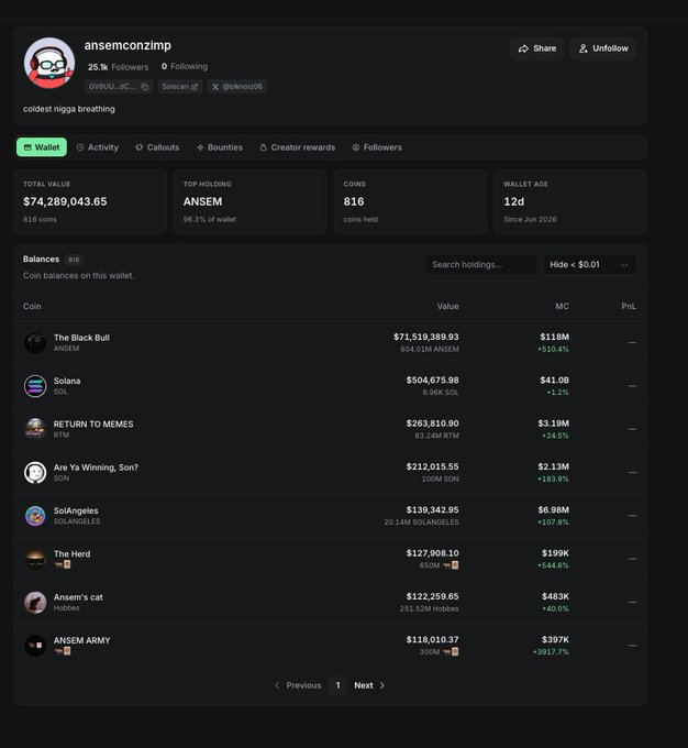 A crypto wallet profile page for 'ansemconzimp' (@ckjnem2o6) showing a total wallet value of $74,289,043.65 with top holding ANSEM (98.3% of wallet), and balances including The Black Bull, Solana, RETURN TO MEMES, Are Ya Winning Son?, SolAngels, The Herd, Ansem's cat, and ANSEM ARMY.