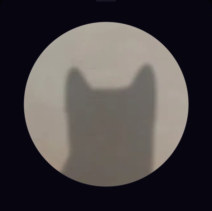 A blurry silhouette of a cat's head visible inside a circular frame against a black background.