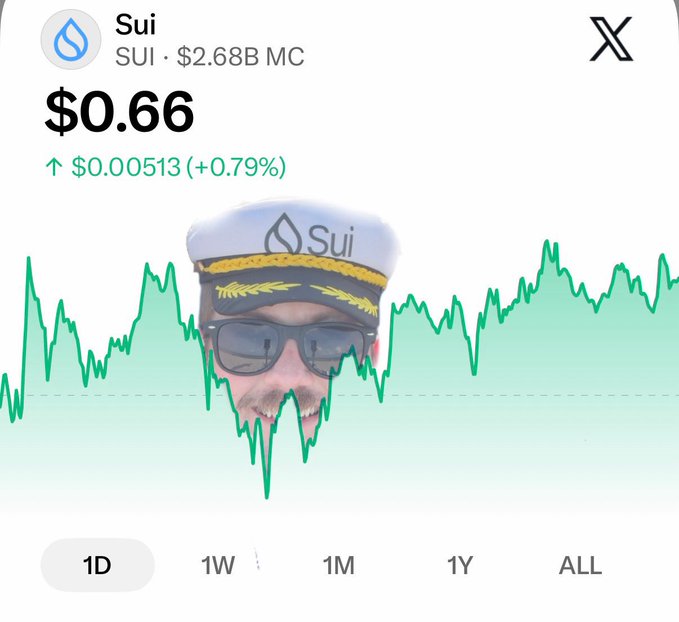 A cryptocurrency tracker screenshot shows SUI priced at $0.66, up 0.79%, with a price chart featuring an overlaid image of a man wearing a Sui sailor hat and sunglasses.