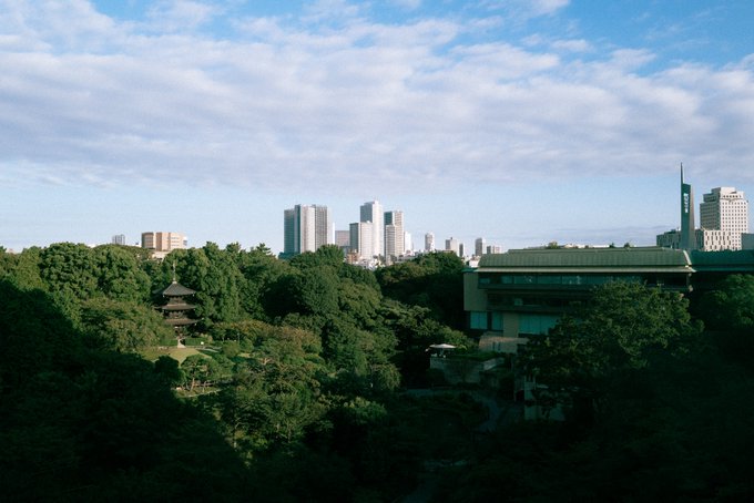 A daytime cityscape view showing a mix of modern skyscrapers and traditional architecture (including a pagoda) behind a large canopy of green trees under a partly cloudy sky.