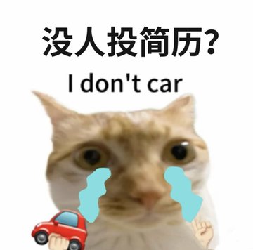 The image features a crying cat meme with Chinese text "没人投简历?" ("No one submitting resumes?") and the ironic English caption "I don't car" (likely meant to be "I don't care"), humorously depicting a recruiter's frustration at receiving no job applications.

It pairs with the hiring announcement to comically emphasize the struggle of reaching candidates for their Web3 BD & Growth position at Ethereum address 0xce24439f2d9c6a2289f741120fe202248b666666.