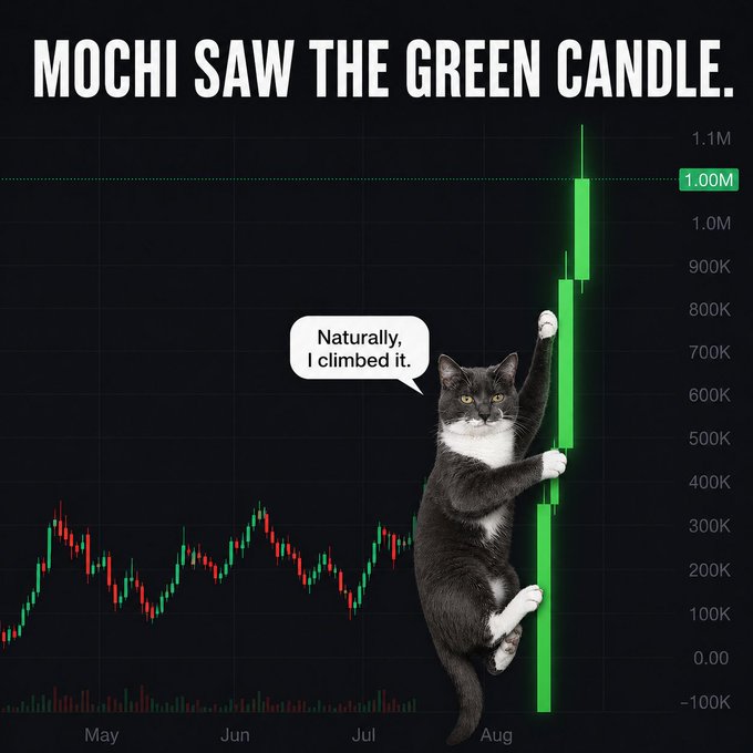 Meme titled 'MOCHI SAW THE GREEN CANDLE' showing a black and white cat climbing a green trading candlestick, saying 'Naturally, I climbed it,' on a price chart spanning May to August.