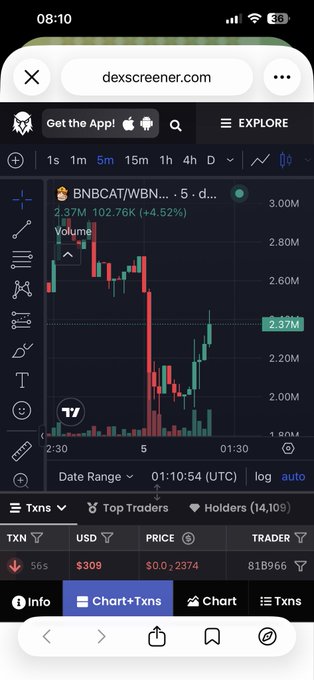 A mobile screenshot of dexscreener.com showing a trading chart for 'BNBCAT/WBN...' with a price of 2.37M, displaying candlestick patterns and trading volume.