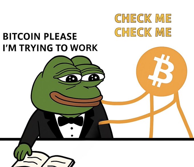 Meme image of Pepe the Frog in a tuxedo reading a book, looking annoyed, with an orange Bitcoin stick figure tapping him on the shoulder; text reads 'BITCOIN PLEASE I'M TRYING TO WORK' and 'CHECK ME CHECK ME'.