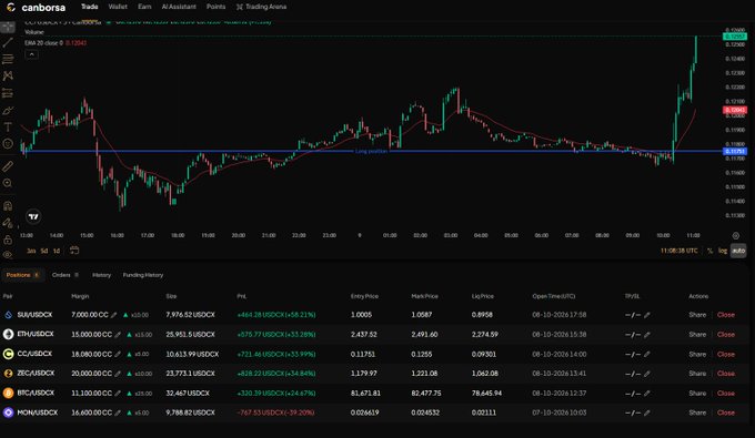 A cryptocurrency trading interface on canborsa.com showing a candlestick chart of SUI/USDC with price data and an open positions table displaying various USD trading pairs.