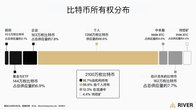 A bar chart titled '比特币所有权分布' (Bitcoin Ownership Distribution) showing that 16.7% of the 21 million BTC is held by institutions, while 66.6% is held by individuals.