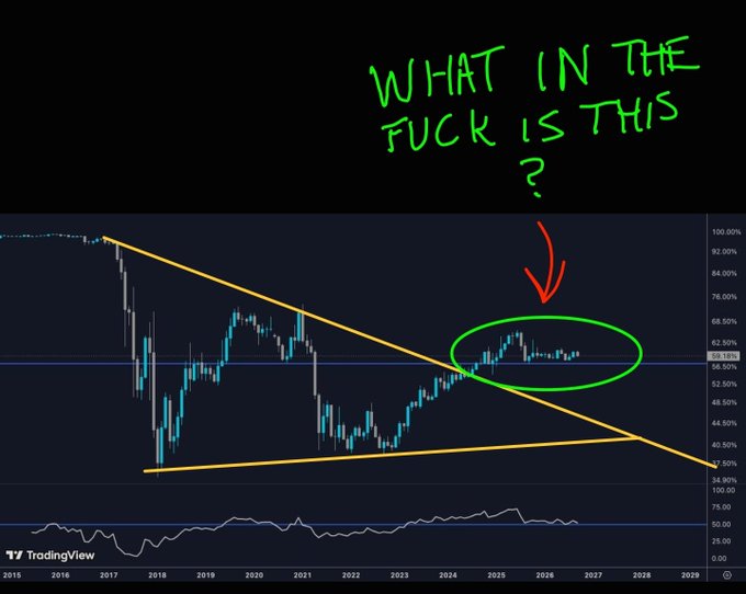 A TradingView chart spanning 2015 to 2029 with handwritten green text asking 'WHAT IN THE FUCK IS THIS?' along with a red arrow pointing to a circled section of the price action.