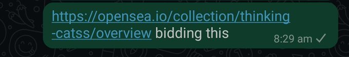 A WhatsApp message preview showing a URL for an OpenSea collection 'thinking-catss/overview' followed by the text 'bidding this'.