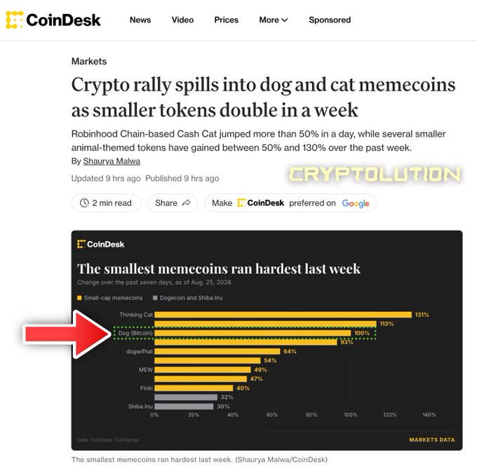 A CoinDesk article titled 'Crypto rally spills into dog and cat memecoins as smaller tokens double in a week' featuring a bar chart showing that small-cap memecoins like Thinking Cat (+131%), Dog (Bitcoin) (+100%), and dogwifhat (+53%) outperformed Dogecoin and Shiba Inu over seven days.