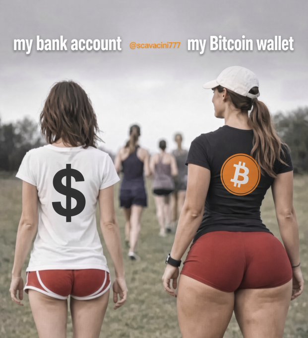 A meme comparing 'my bank account' showing a slim woman in a $ shirt to 'my Bitcoin wallet' showing a curvier woman in a Bitcoin logo shirt, credited to @scavacini777.