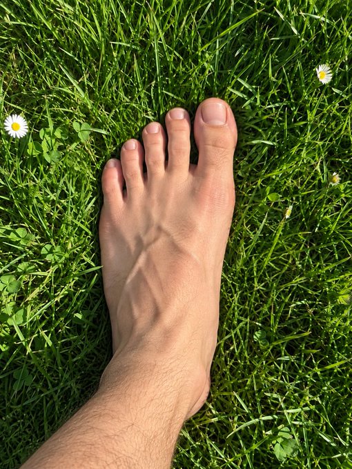 A bare foot rests on lush green grass dotted with small daisies, visually interpreting the post's text effect where "touch" is struck through and replaced with "stand on grass."