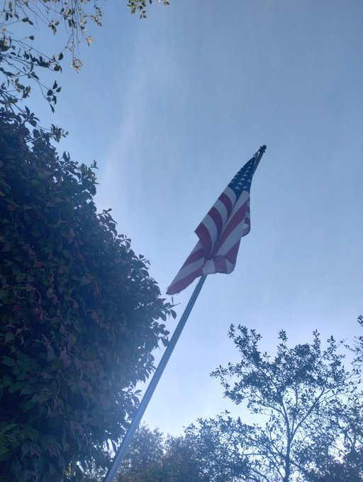 An American flag flies on a flagpole against a blue sky, framed by green tree branches and leaves.