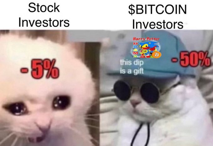 A two-panel meme comparing 'Stock Investors' (a crying cat with '-5%') to '$BITCOIN Investors' (a cat wearing sunglasses and a hat with 'this dip is a gift' and '-50%').
