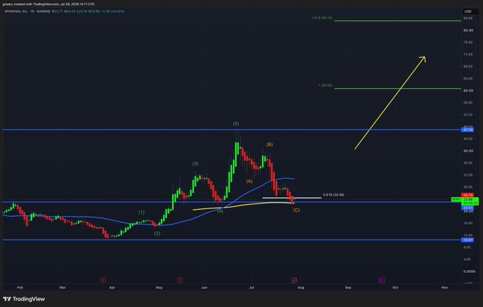 A TradingView chart of Weyerhaeuser Inc. (WYFI, $23.77) showing an Elliott Wave analysis with a completed 3-wave pullback to the 0.618 Fibonacci retracement and 200-day MA confluence support, with a yellow arrow projecting the next Wave 3 rally toward the 1.0 ($80.20) extension target.