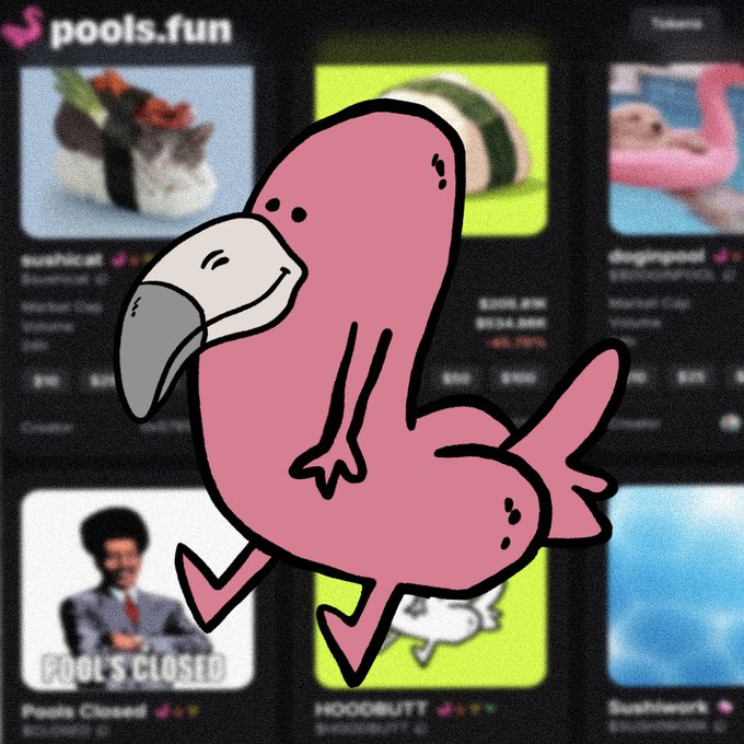 A cartoon pink flamingo is overlaid on a screenshot of the pools.fun website, which displays various prediction markets including "Pool's Closed," "Hoodbutt," "Dog Pounds," and "Sushinwerk" with associated tickers like $CLOSED, $HOODBUTT, and $SUSHI. The image relates to the post "literally nothing" with wallet address 0x047eae15d39b08138717481ff2118cb53e711bb2 by serving as a humorous, context-less meme associated with the on-chain address.
