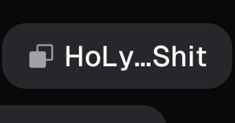 A dark screenshot showing a button or label reading 'HoLy...Shit' next to a layered squares icon.