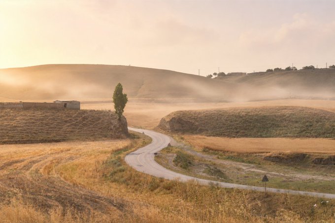 A serene golden-hour landscape features a winding country road cutting through rolling fields of dry grass, with a lone tree and a small white building visible in the misty distance.