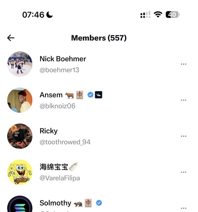 A screenshot of a mobile app showing a 'Members (557)' list with user handles including @boehmer13 (Nick Boehmer), @blknoiz06 (Ansem), @toothrowed_94 (Ricky), @VarelaFilipa, and Solmothy.