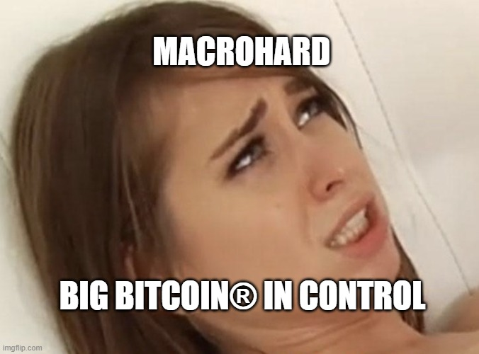 A meme featuring a confused woman with text reading 'MACROHARD' at the top and 'BIG BITCOIN® IN CONTROL' at the bottom.