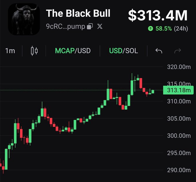 A cryptocurrency price chart for "The Black Bull" (ticker 9cRC...pump) showing a market cap of $313.4M, up 58.5% in 24 hours, with MCAP/USD displayed at $313.18M.