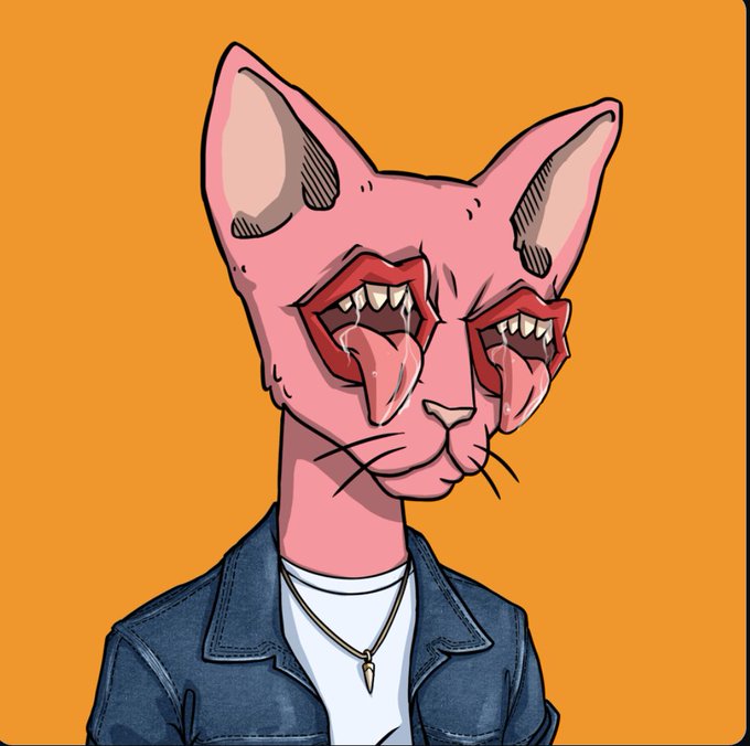 A pink Sphynx cat with fangs wearing a denim jacket and necklace appears as the mascot for a $50 SOL giveaway, where participants must like, retweet, follow @R0saDaily, and comment #Solana within 24 hours.