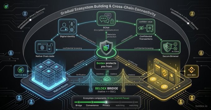Infographic titled 'Gradual Ecosystem Building & Cross-Chain Connectivity' showing Beldex components including Digital Identity, Bichat (Encrypted Communication), Confidential Transactions, Native Chain Node, BChat, and Secure Browser, with a Beldex Bridge connecting Native and BSC ecosystems. beldex.io