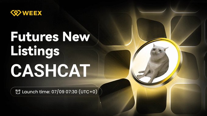 Promotional graphic from WEEX announcing the new futures listing of CASHCAT, featuring a white cat image on a gold coin, with a launch time of 07/09 07:30 (UTC+0) displayed.