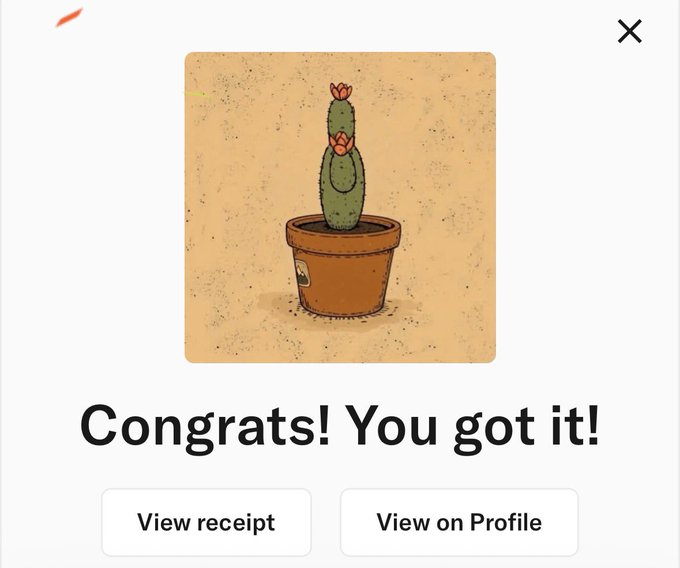 The image shows a confirmation screen with a cartoon cactus in a terracotta pot, featuring the text "Congrats! You got it!" along with "View receipt" and "View on Profile" buttons. This appears to be a purchase or signup confirmation for "Unusual Society," matching the caption about signing off from the platform.