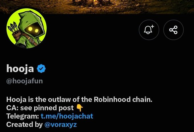 A Twitter/X profile screenshot for 'hooja' (@hoojafun) featuring a green-hooded cartoon character avatar, with the bio reading 'Hooja is the outlaw of the Robinhood chain. CA: see pinned post, Created by @voraxyz.'