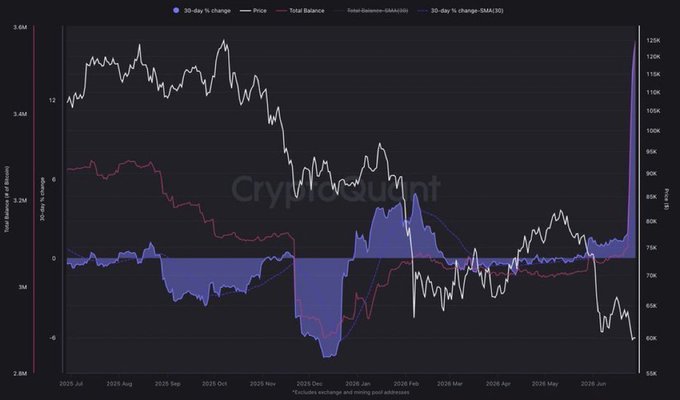 A CryptoQuant chart displays the 30-day percentage change in Bitcoin's balance held by entities with 100-1,000 BTC (whales), shown alongside price and total balance metrics from mid-2025 through mid-2026. The chart supports the accompanying claim by illustrating notable whale balance fluctuations—including recent upward spikes in the blue-filled 30-day % change indicator—which align with the narrative of unprecedented whale accumulation activity.