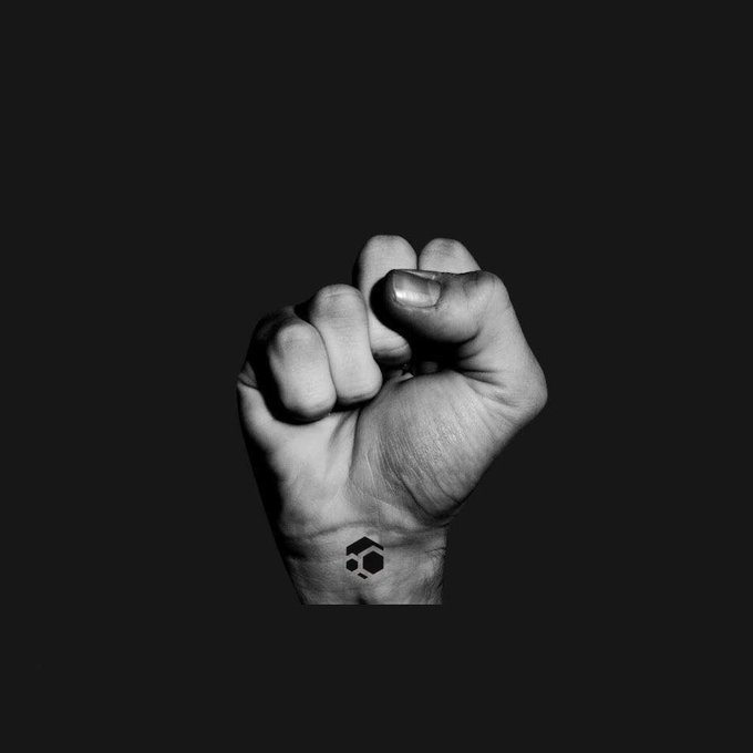 A black-and-white photo of a clenched fist with a small geometric logo tattooed on the wrist, symbolizing strength and commitment. The image visually reinforces the post's "Rules of $FLUX" message—urging holders to buy, hold, and run nodes for 100X gains—with the tattooed mark representing loyalty or dedication to the project.