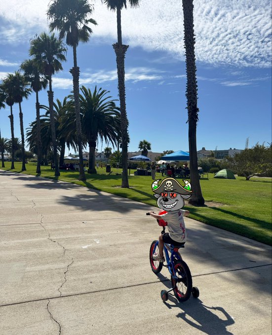 A child wearing a pirate hat rides a bicycle with training wheels along a palm-tree-lined path on a sunny day.