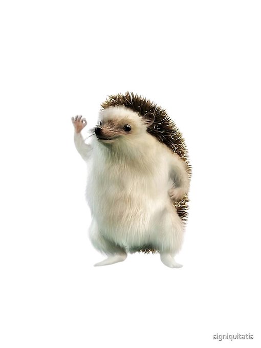 A cute illustration of a hedgehog standing on its hind legs waving, signed 'signicuitarts' in the bottom right corner.