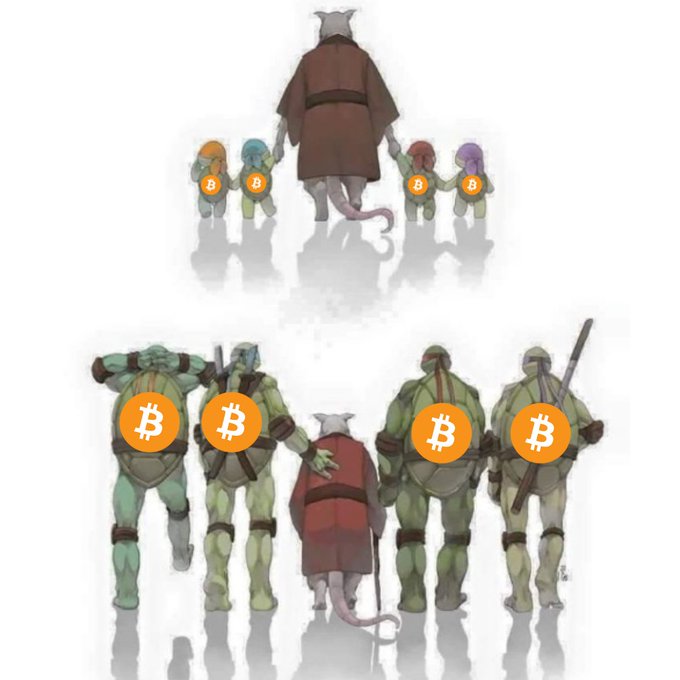 A meme illustration showing a rat in a robe holding hands with small turtle figures with Bitcoin logos, followed by the same scene with larger, armed mutant turtle figures with Bitcoin logos guarding the rat.