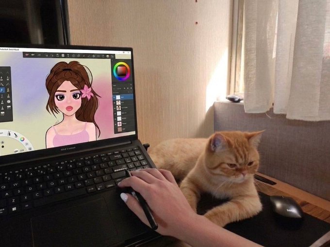 A person's hand using a stylus on a laptop running Adobe Photoshop, editing a digital illustration of a girl, while an orange cat rests peacefully beside them.