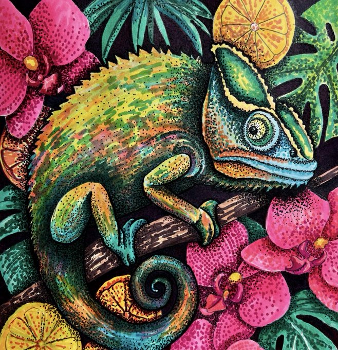 A colorful illustration of a green and yellow chameleon clinging to a branch, surrounded by pink flowers and tropical leaves.