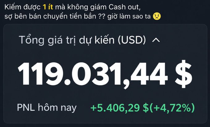 A dark-themed dashboard screenshot showing a total estimated value ('Tổng giá trị dự kiến USD') of 119.031,44 $, with today's PNL ('PNL hôm nay') at +5.406,29 $ (+4,72%) in green, accompanied by text complaining about earnings not being cashed out due to transfer errors.