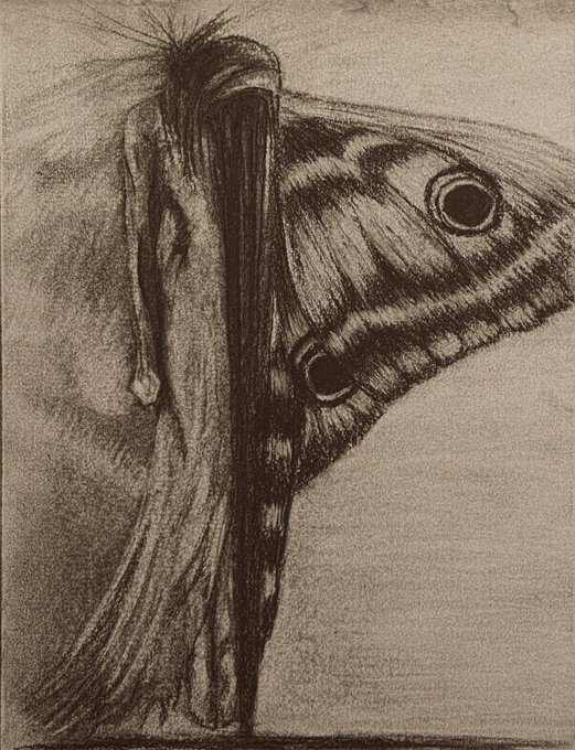 A hand-drawn charcoal sketch on Bristol paper depicting a surreal metamorphosis, where a moth's wing with distinct eyespots emerges from or transforms into a draped, ghostly figure. The artwork, titled "Metamorphosis interrupted," visually blends human form with insect features to evoke themes of transformation and the uncanny.