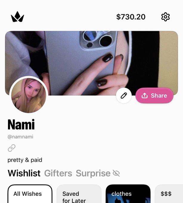 A screenshot of a Wishlist profile for 'Nami' (@namnami) with the bio 'pretty & paid,' showing a balance of $730.20, tabs for All Wishes, Saved for Later, clothes, and $$$, along with a profile picture and a cover photo of hands holding an iPhone.