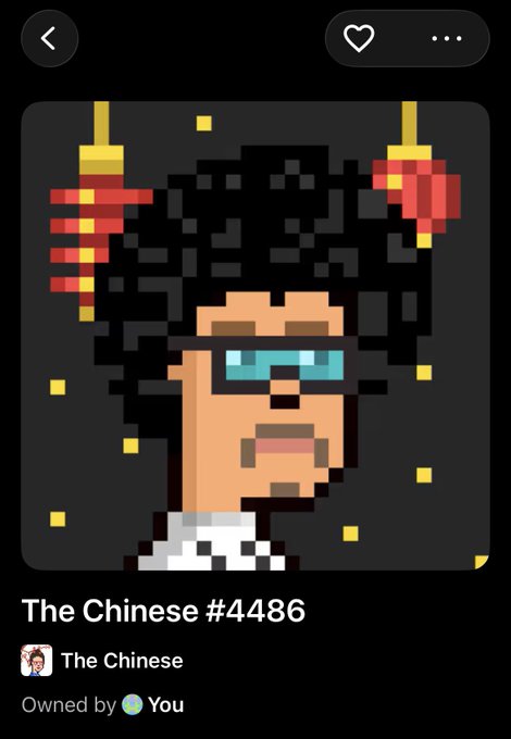 An NFT profile screen showing 'The Chinese #4486,' a pixel art character with an afro, pixelated sunglasses, and red and yellow ornaments in their hair, marked as 'Owned by You.'