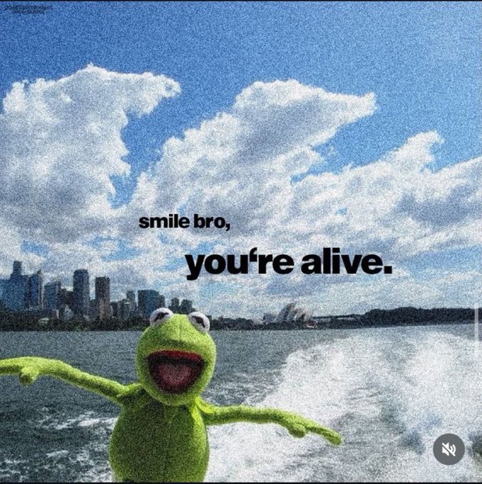 A meme-style image of Kermit the Frog with outstretched arms against a backdrop of a cloudy sky and a city skyline, with the text 'smile bro, you're alive.'